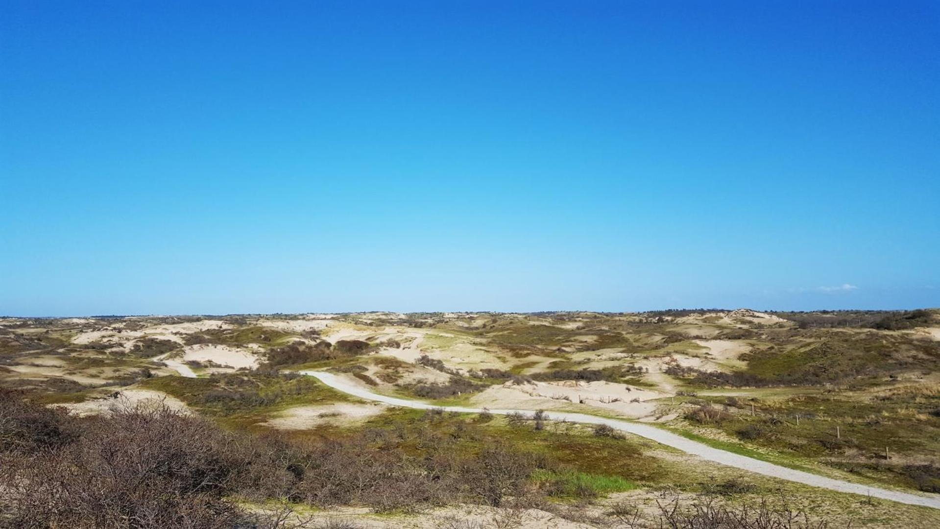 Bamboe Suite Bentveld Met Ligbad En Gratis Parkeren エクステリア 写真